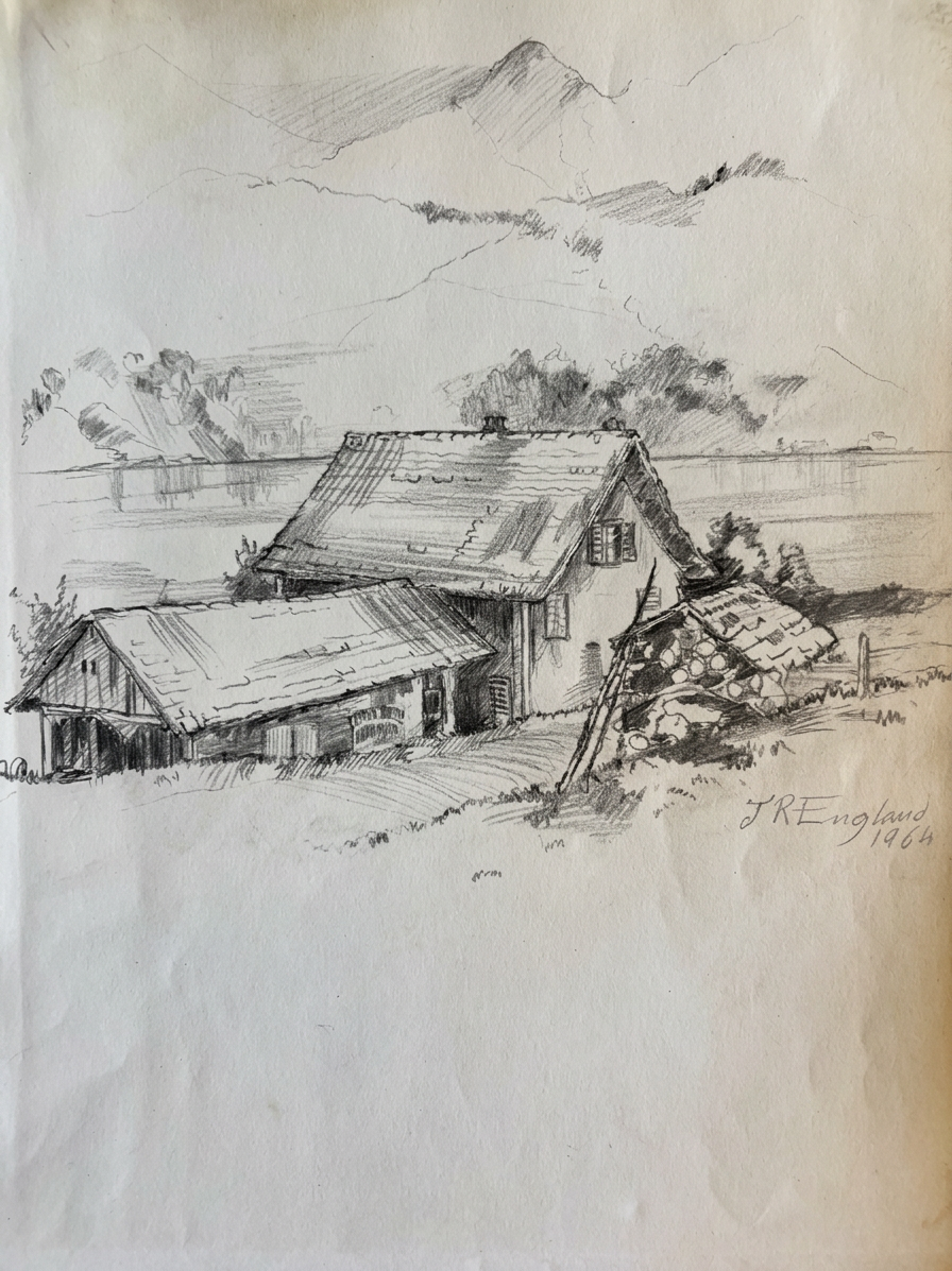Plate 10