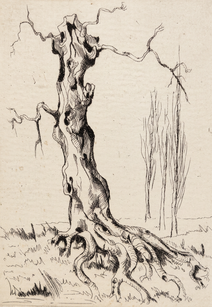 Unknown-3