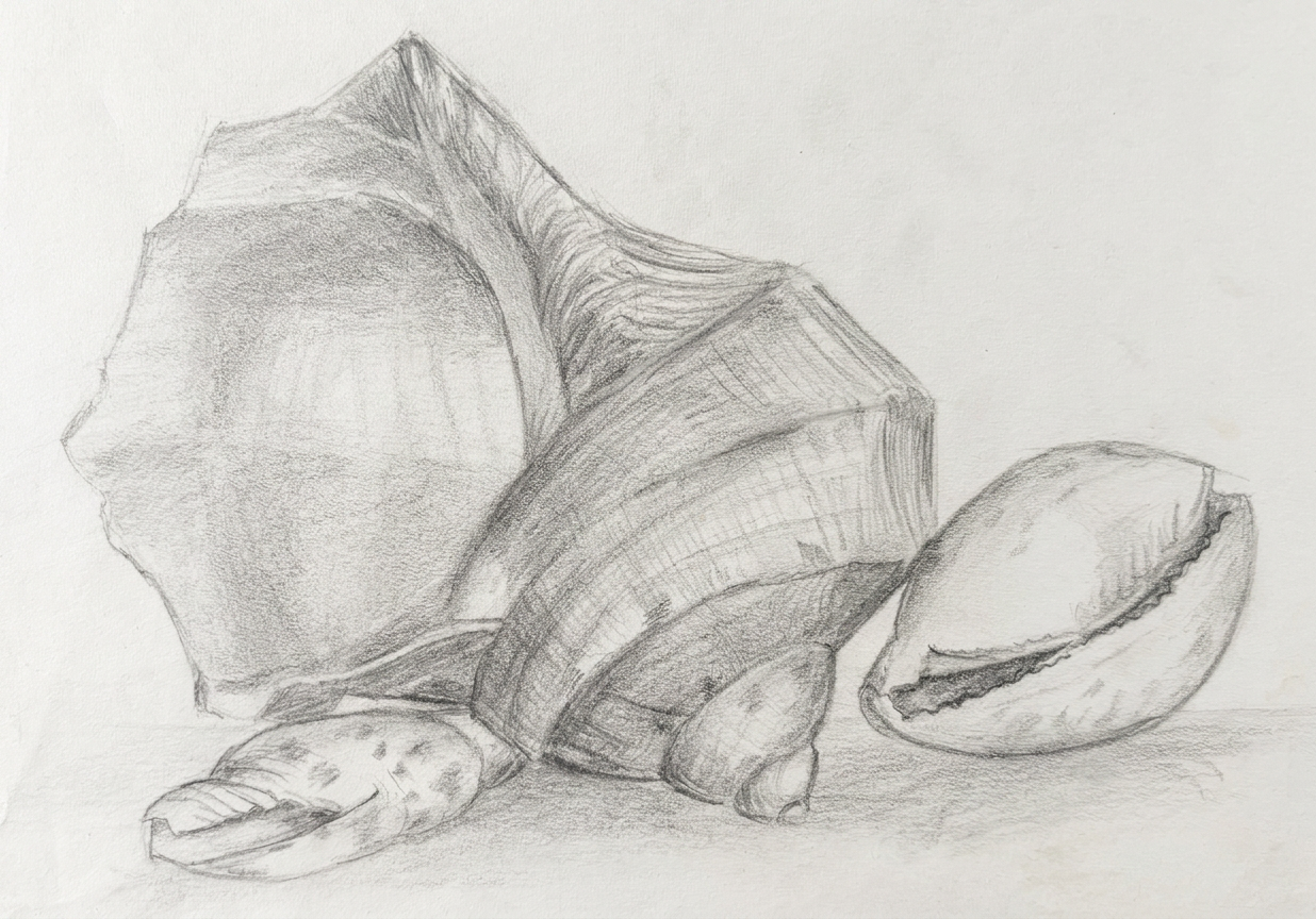 IMG_0265